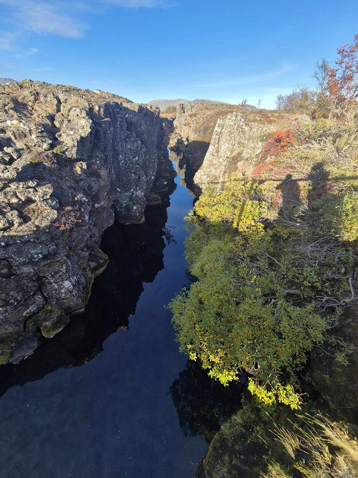 0014018a-f679-488d-9269-c8c54ce92768