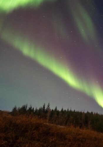 0060d9dc-bcaa-45f4-9ba9-f1d5aa54bd00