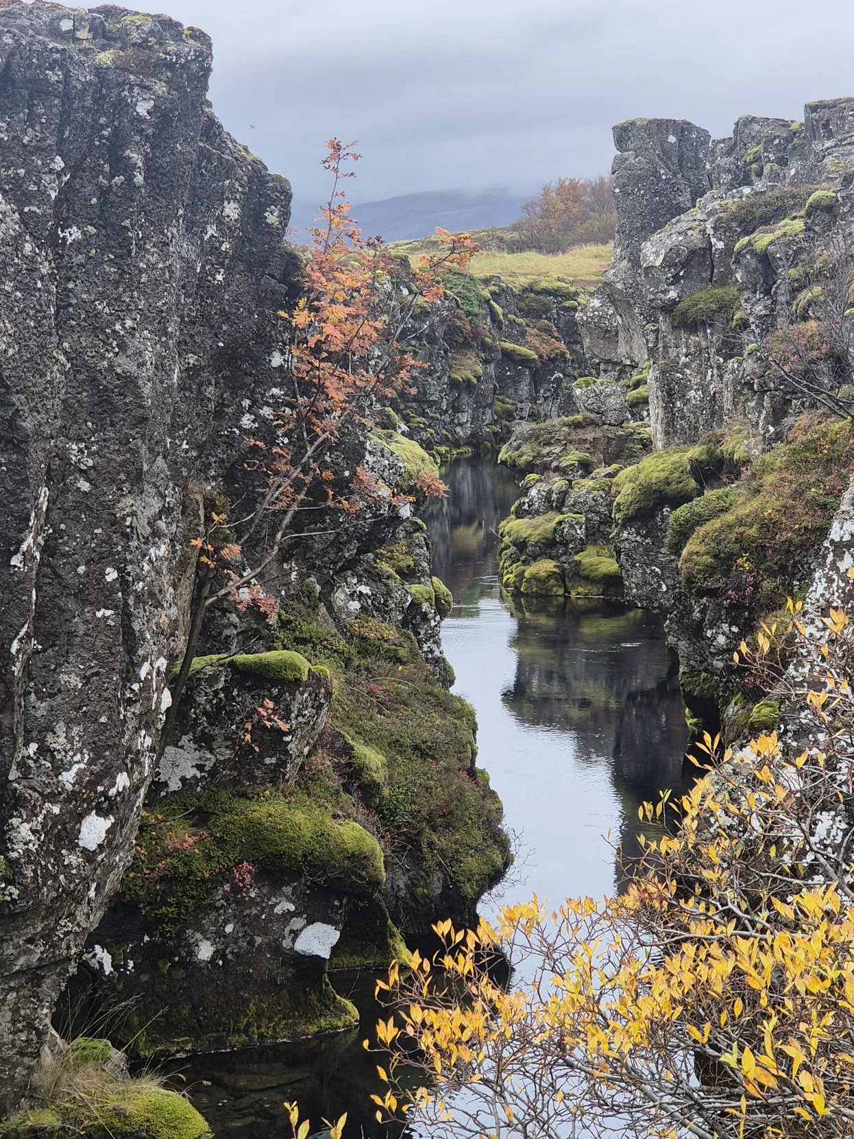 03678929-0928-4930-9262-acb60333cf4b