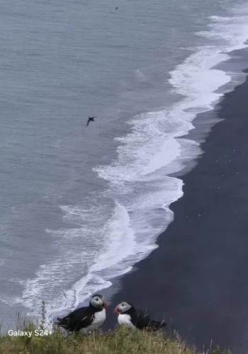 1d4b0aa6-41bc-49ad-872e-2ce817256ccf