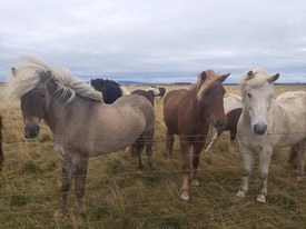 2118b56e-072c-4cdc-86dd-3038b42bc9e5