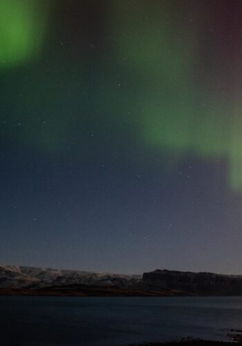 228ebfac-1d3c-4e97-85f3-fbb109c1bada