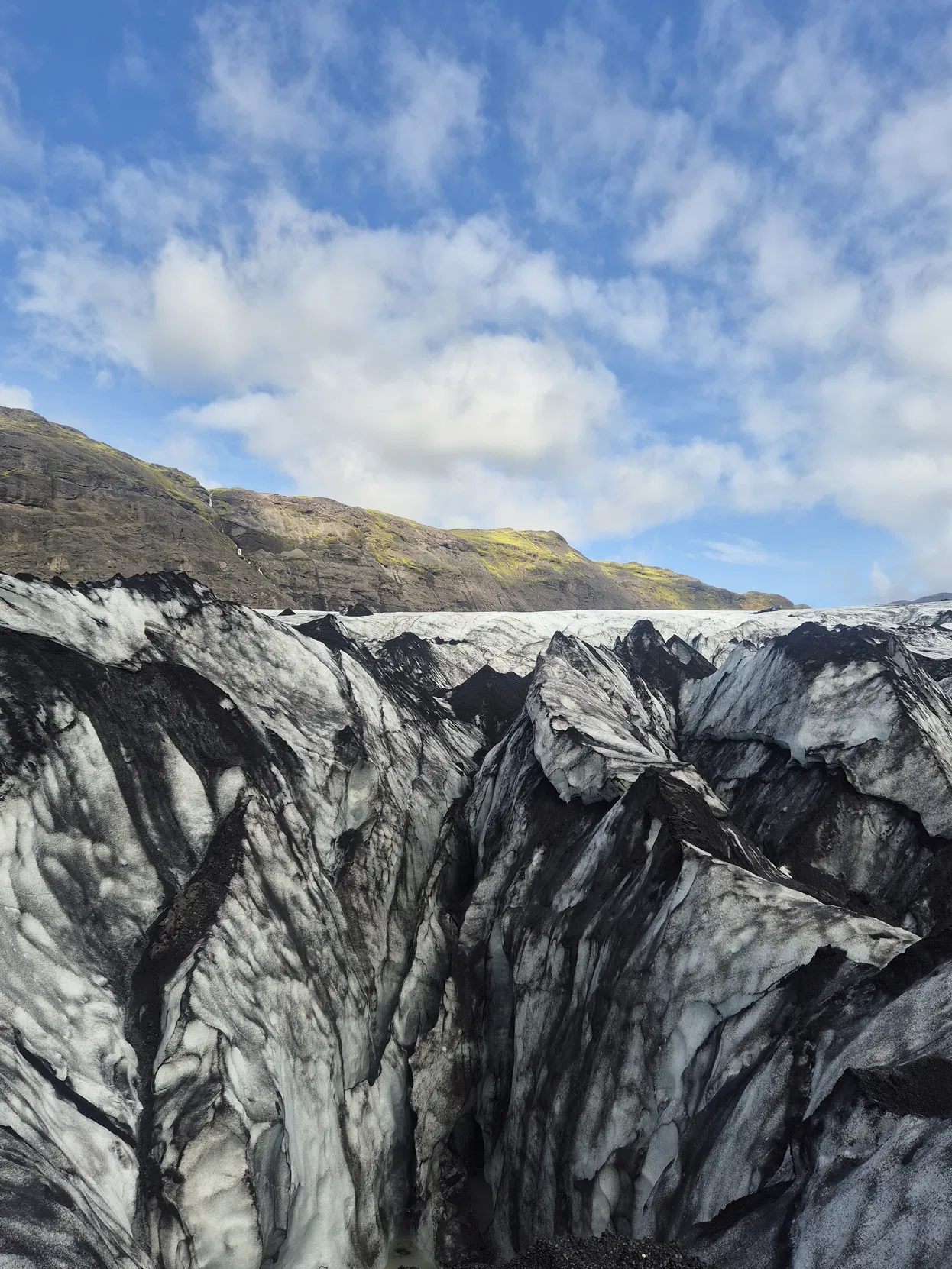 24e967e1-cb1d-42cb-ace3-bf5238e63d01