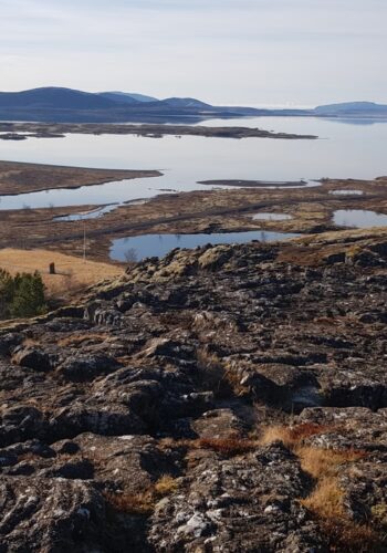 28ebe6f5-aaa2-40aa-ac6e-01a921812d4b