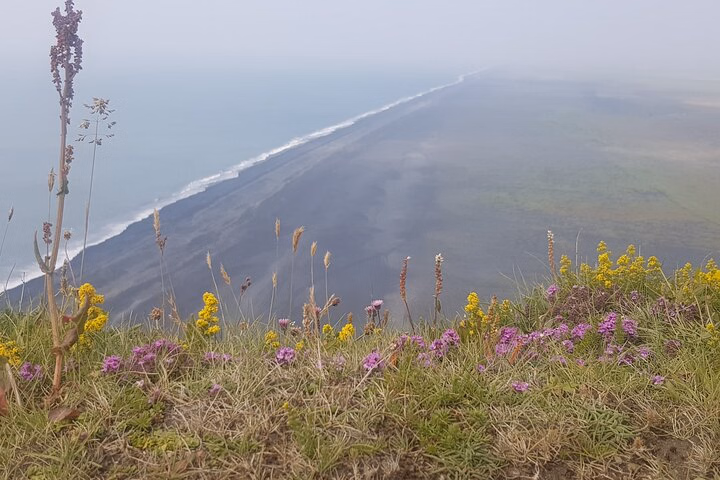 313925c9-5225-46bd-b2b6-297cb1b66f13