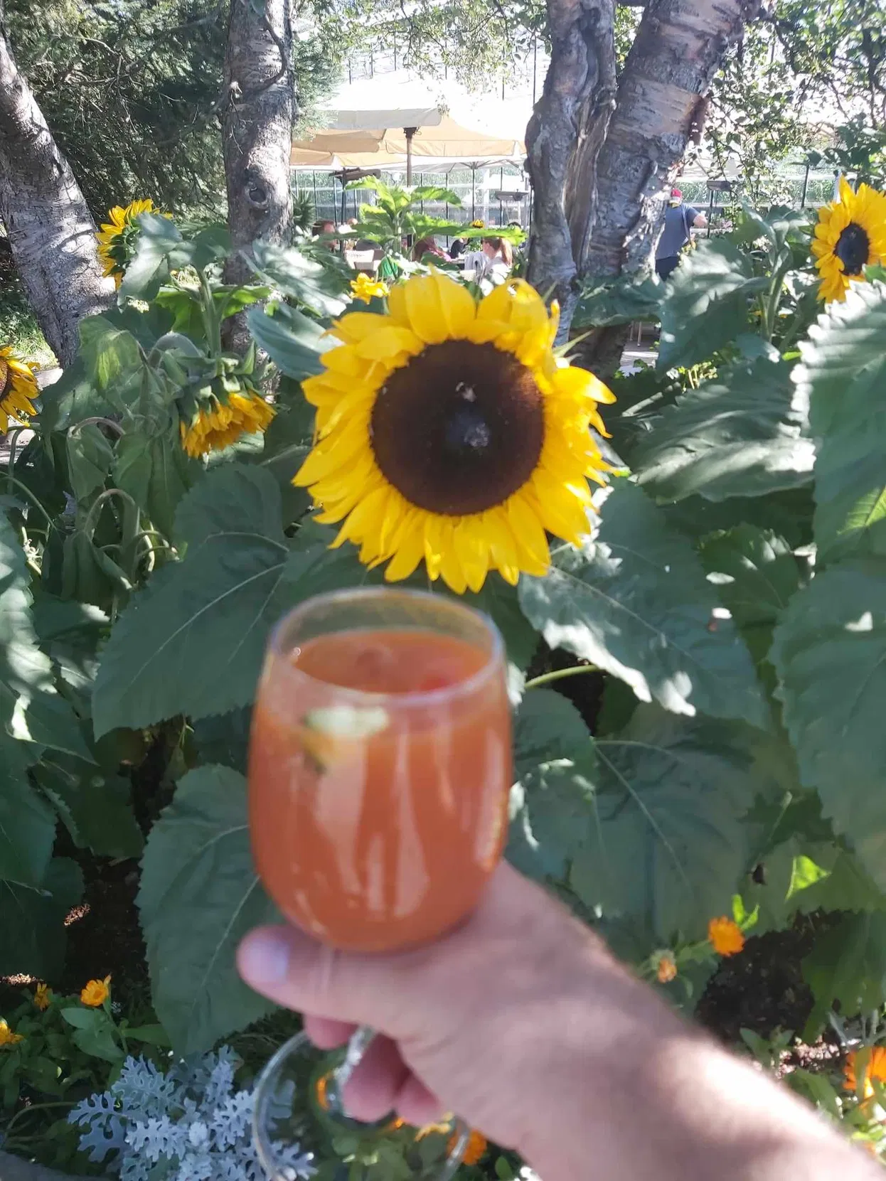 32163d31-b23e-416c-ad52-33bcf1ab2338