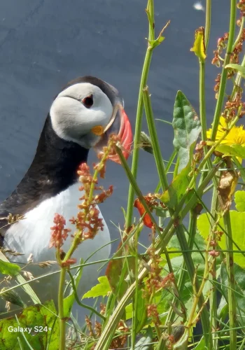 37189cd0-07cb-4cd7-8b52-b7168fc30afc