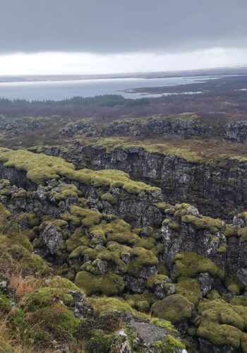 38f8d38e-9db9-40d3-8520-df0bdae5fe39