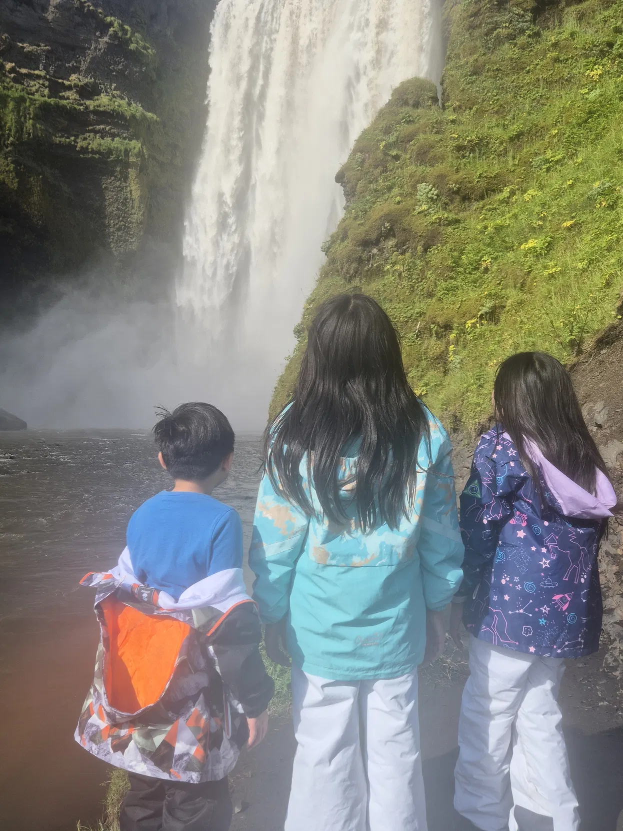 39443ce5-b50b-4761-a629-ce8a480f3492