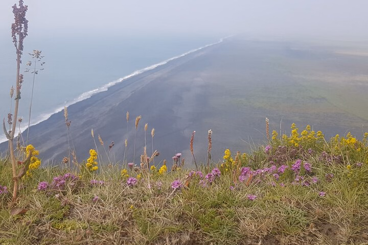 416d7bcd-e44f-464e-89b2-c4b4c99cfb9e