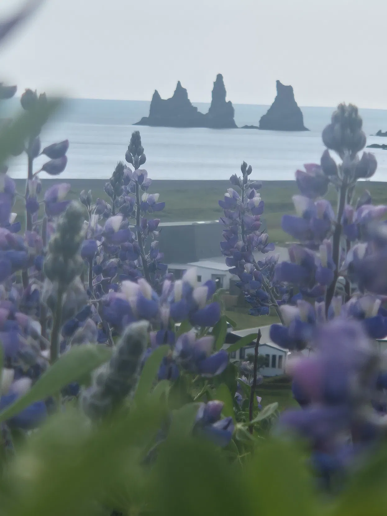 519c8ac8-ac25-4df0-9c32-f6ffe579cecd