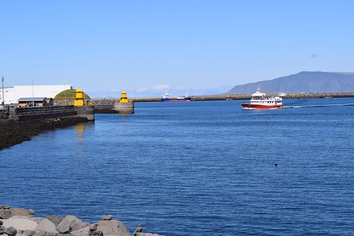 5dc8882d-9315-4543-b651-02bffdeacd2e