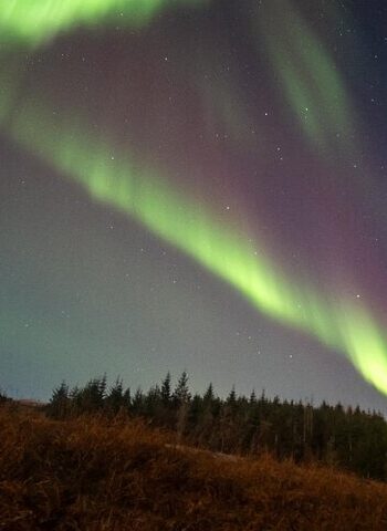 610f61ed-fd96-4d39-b2ea-6089439fbcdc