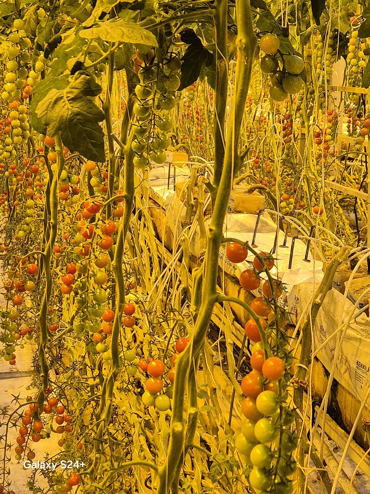 67db61d9-6b1b-434b-97a3-05faa8455f39