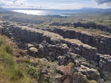 6c7455b2-11f9-4b52-8e5c-3867d996e13d