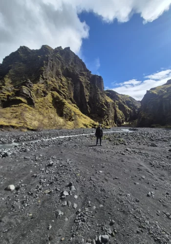 6ce15b86-d410-42fb-ae71-69d8a3935304