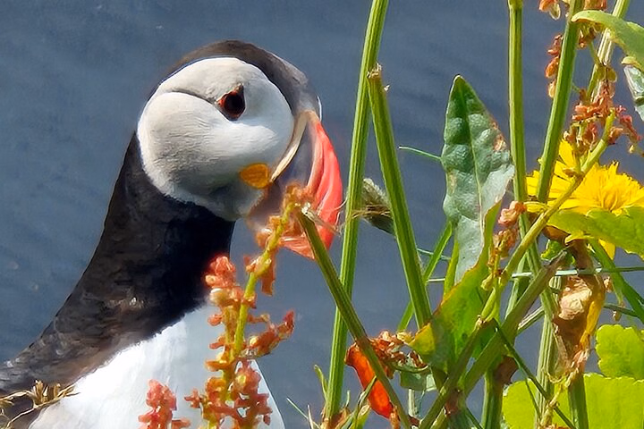 708ae2f4-2fd9-42c9-b86d-709cc94bcd7a