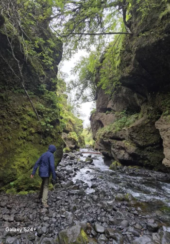 7144587a-fef9-425c-b717-03ea08f8be60