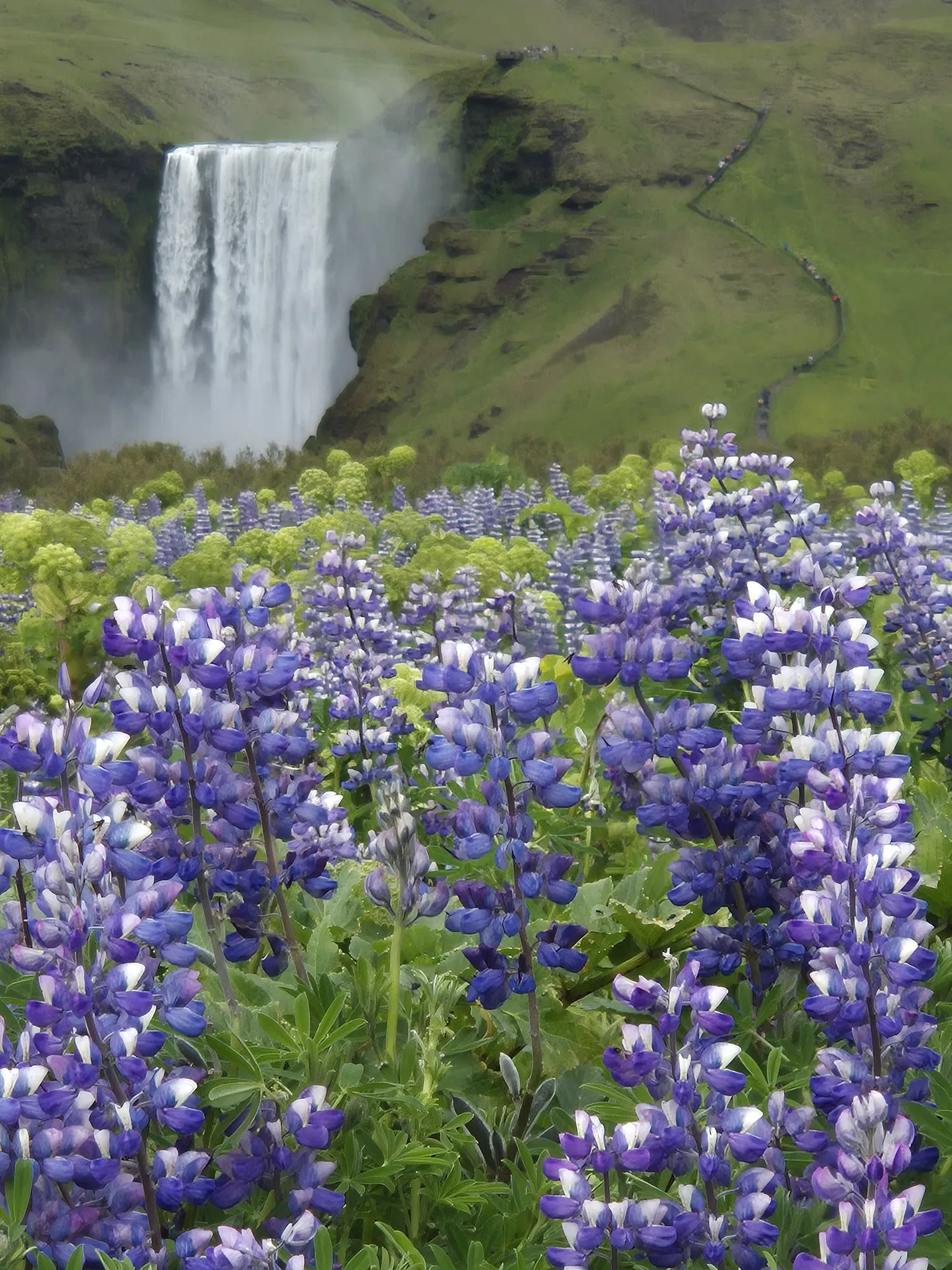 73e017cb-eece-4ec6-872a-aa5fb9b7a955