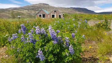 80e5cde4-f21b-4e6f-a5cc-5ec76811d294