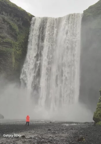 824e9260-c024-4177-bf73-66485978eaab