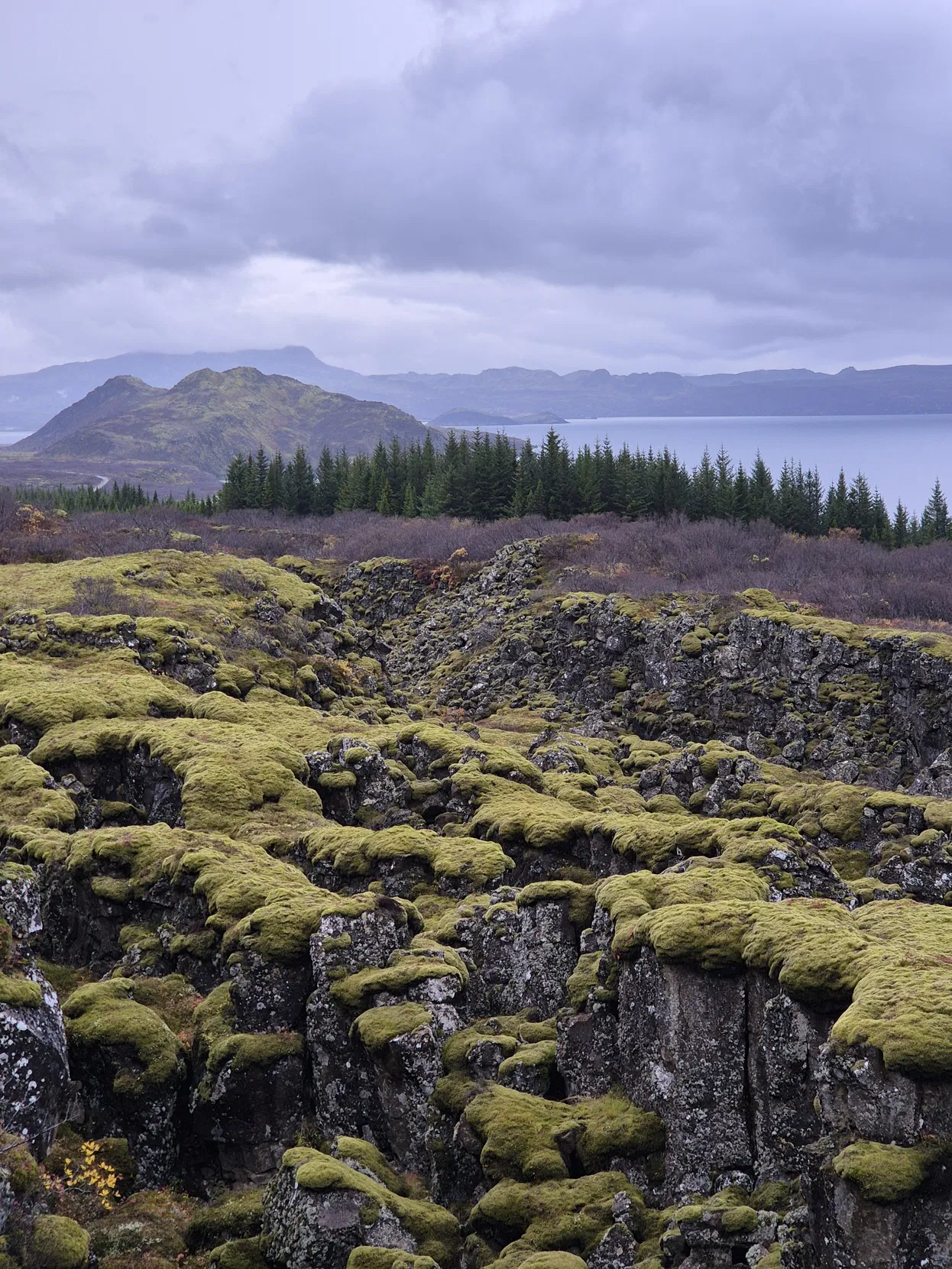 82805642-2a55-4d67-a8fa-052a9b523f74