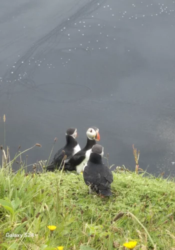 9a66f88f-9182-435d-9b51-273ab39c3fd8