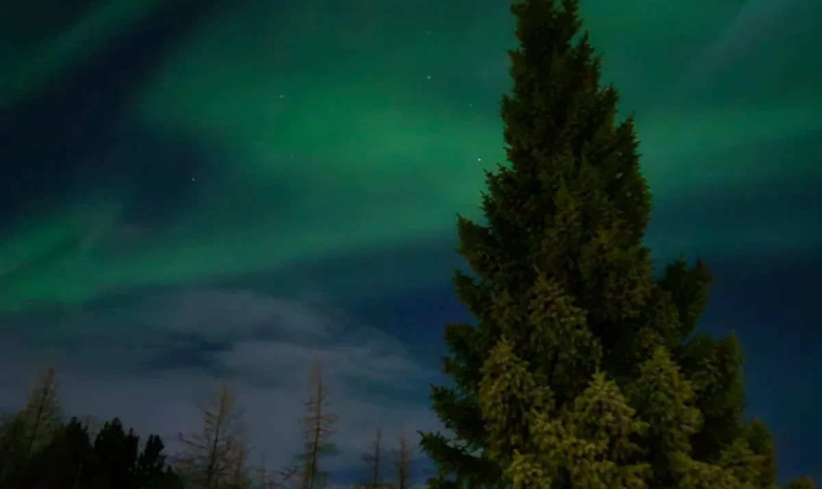 2-Day South Coast Tour with GLACIER HIKE and NORTHERN LIGHTS