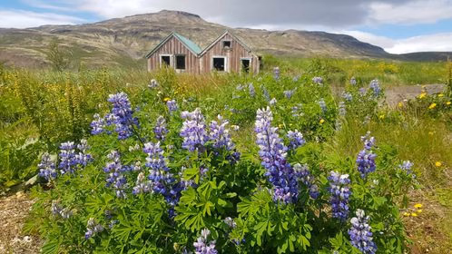 a09db6fd-b787-4b58-8465-7e1627482b0a