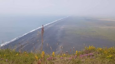 a9306c4d-7596-4b9c-8fd8-aa147dc825e0