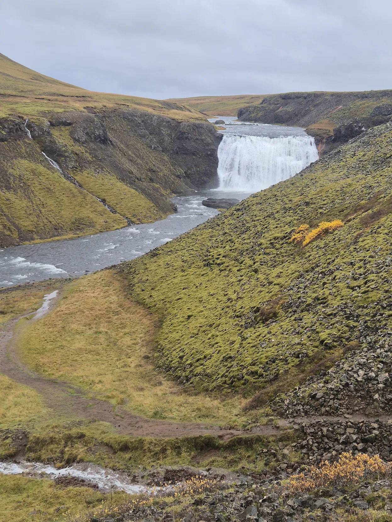 ae696f01-a2b9-4a92-8be4-396ceeba8d70