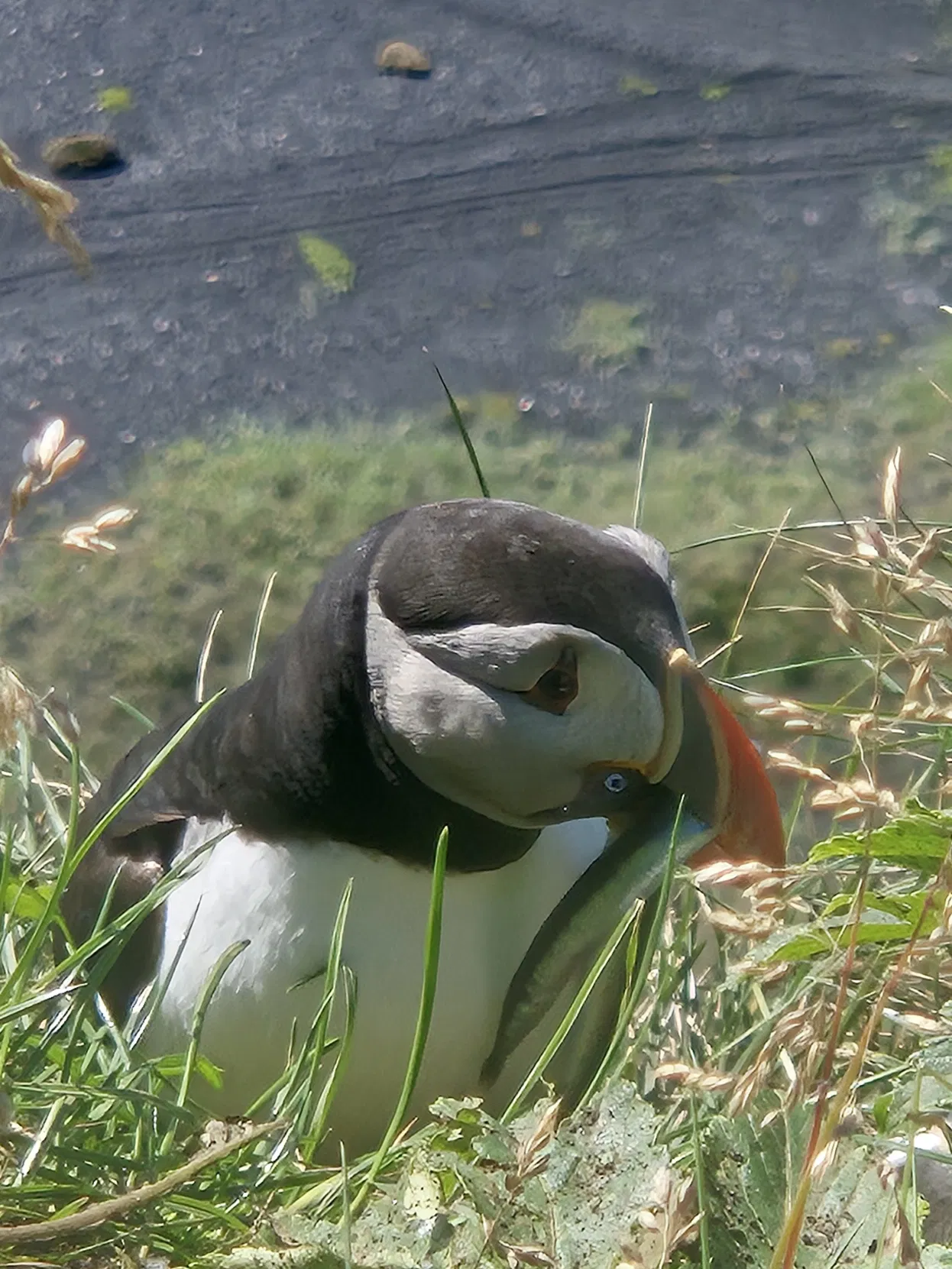 b02abae4-3a79-403b-bf4b-84f42c201414