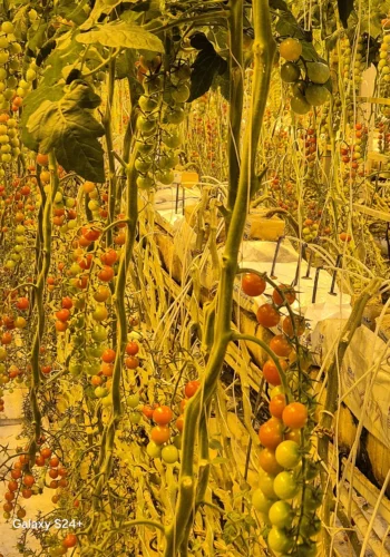 b3e2ab69-7dde-4ef5-8696-e29fef4066b6