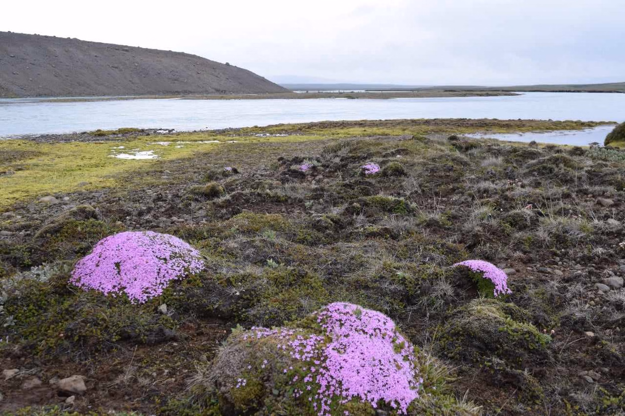 c952f844-fec5-4c4b-9b99-41db75bf8f8a