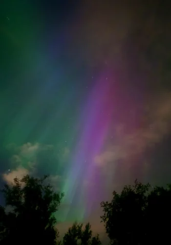 cd7ffa20-e05e-40f9-bea5-0a8399247594