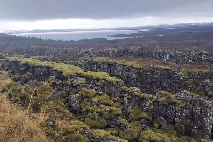 e78592e5-d841-49f3-96ca-17492f2204e7