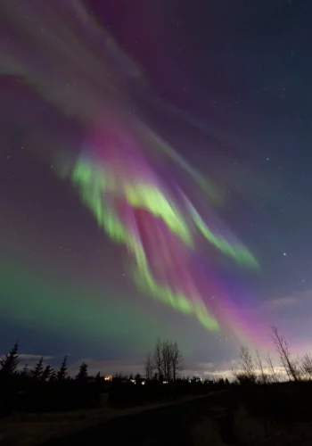 f3e01202-cd98-4be9-9ed1-27ff5fc5298d