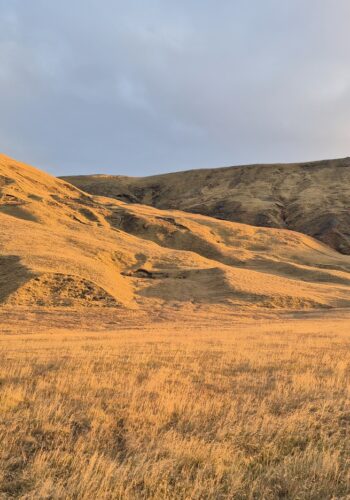 f7527235-016a-4843-a852-bb2ec177ed6c