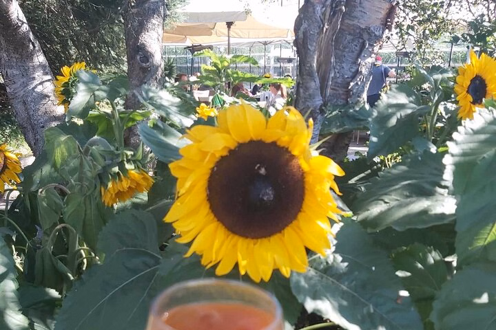 fb95b6f4-6db1-46d9-8dd2-7a275e3d488e