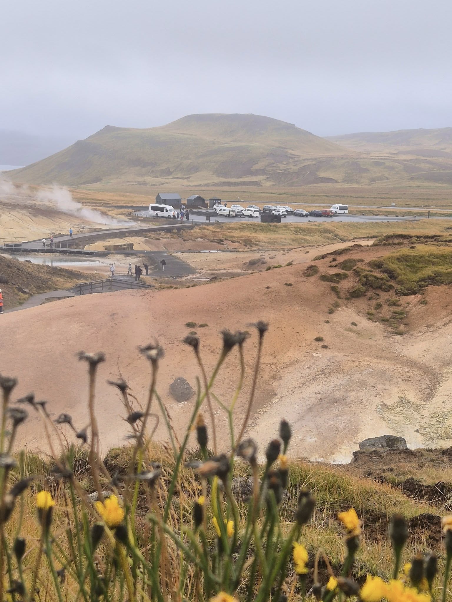 558706019_780874434757761_2944084315998037903_n