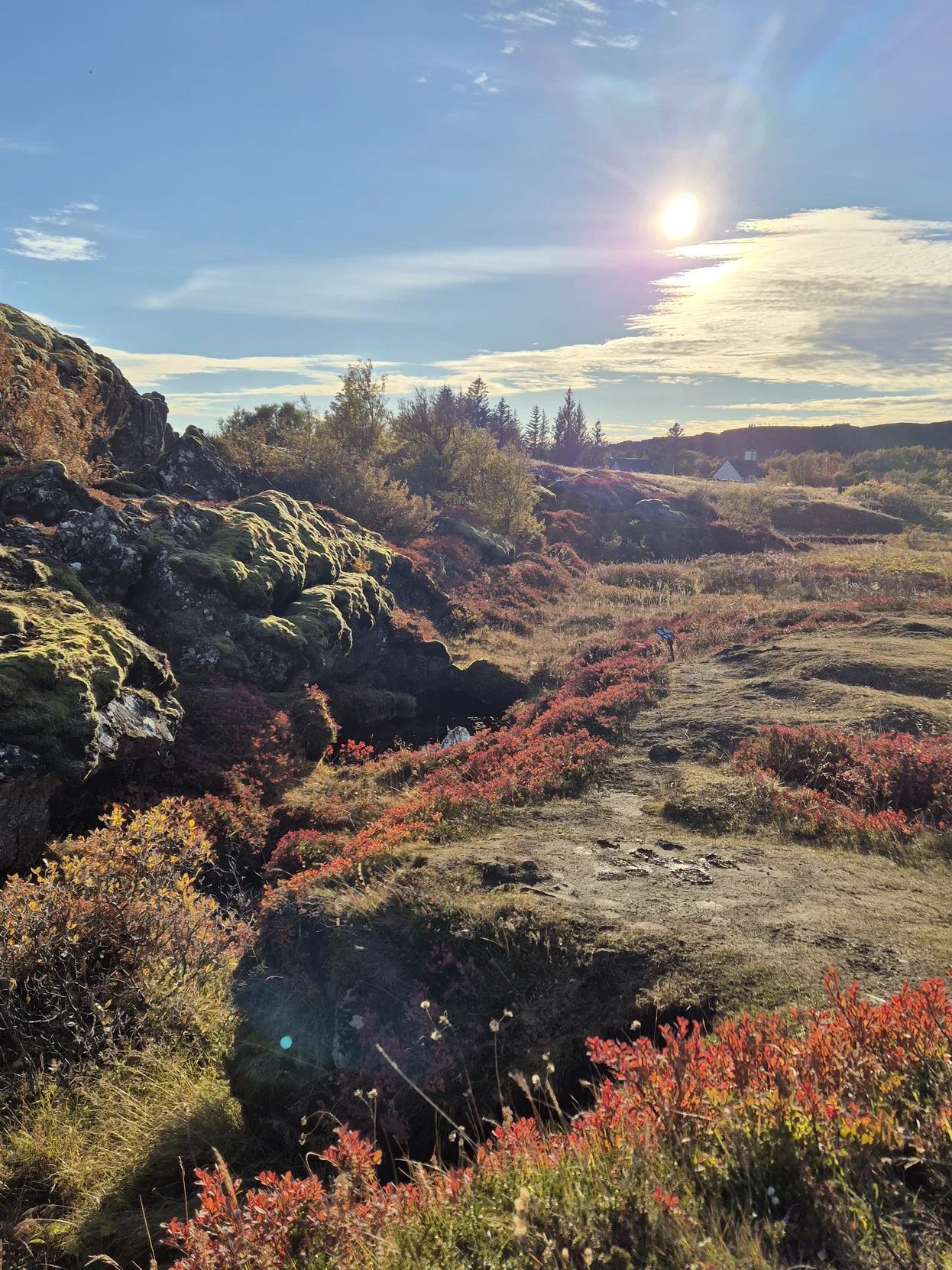 Golden sunlight falls over an Icelandic lava field with thick green moss, crimson autumn shrubs, and a small path leading toward distant trees and buildings beneath a clear blue sky.