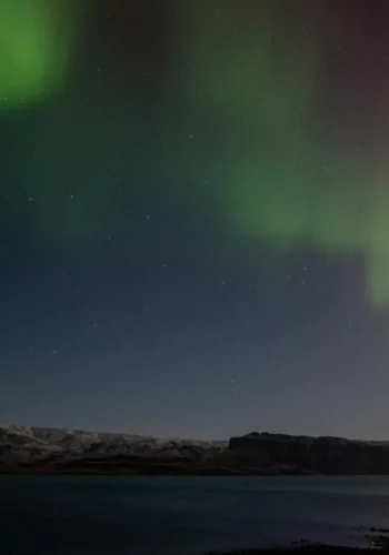 Green northern lights over a calm bay and dark mountains in Iceland.